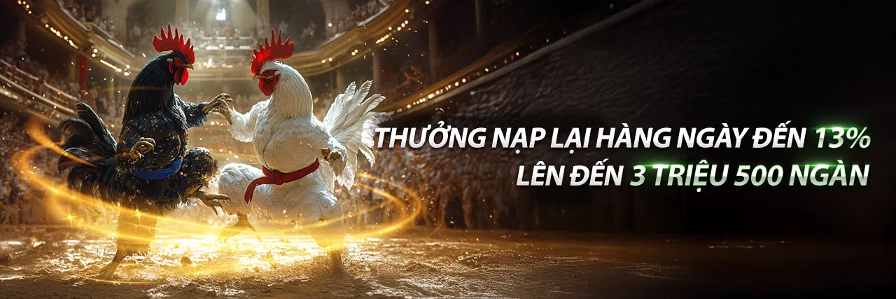Đá gà kịch tính tại nowgoal trang chủ chính thức